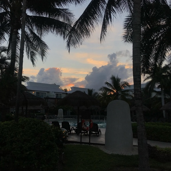 Meet your Posher, Mary-ann - Picture 1 of 1